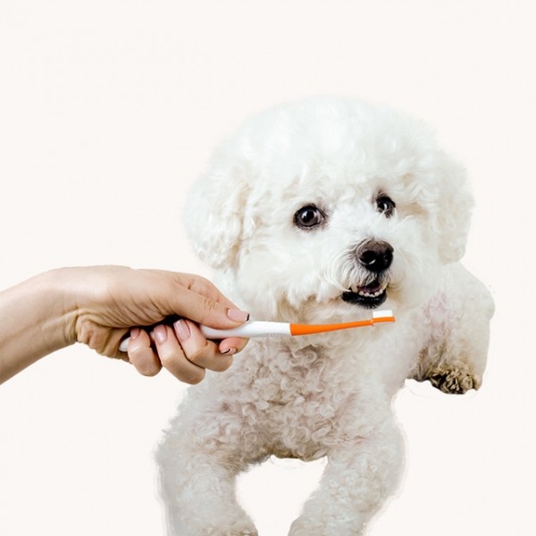 페오펫몰,리스펫 강아지 고양이 칫솔 초미세모 덴탈 딥 브러쉬