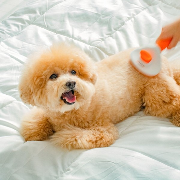 페오펫몰,리스펫 강아지 고양이 원터치 올인원 더블 브러쉬 2종 1세트