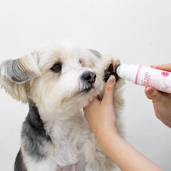 페오펫몰,리스펫랩 강아지 고양이 포우 케어 에센스