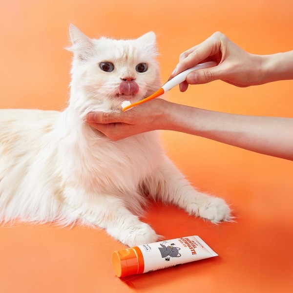페오펫몰,리스펫랩 강아지 고양이 덴탈 클린 효소치약, 닭고기맛 100g