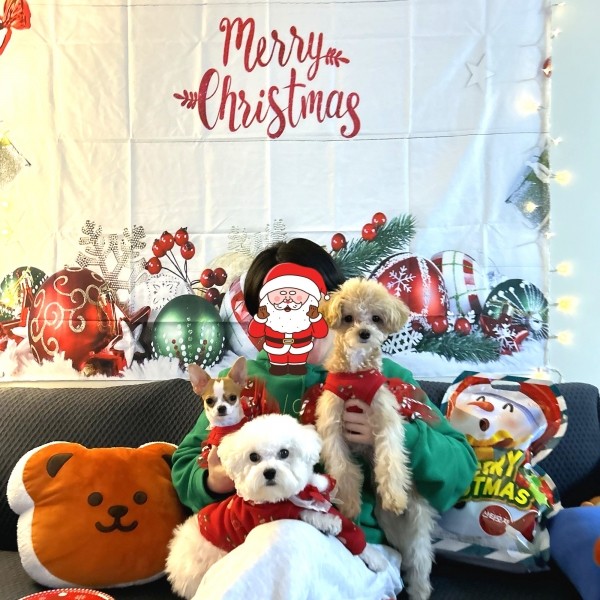 페오펫몰,플로피이얼스,크리스마스 레드켄디 강아지드레스,애견원피스