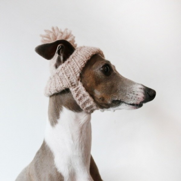 페오펫몰,[완제품/강아지 손뜨개 모자] 미미비니