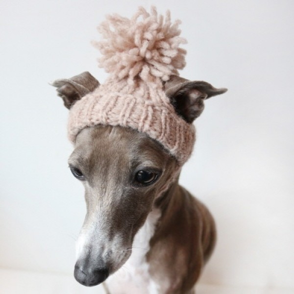 페오펫몰,[완제품/강아지 손뜨개 모자] 미미비니