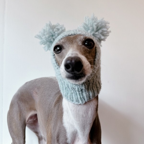 페오펫몰,[완제품/강아지 손뜨개 모자]  코튼캔디바라클라바