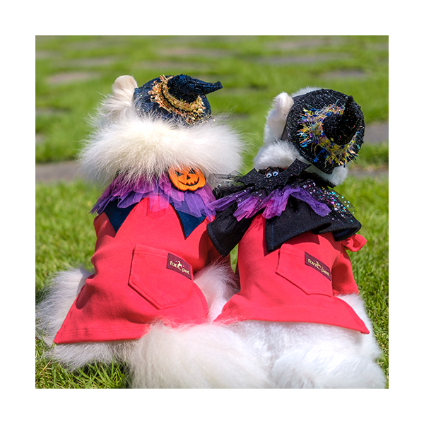 페오펫몰,Halloween Cape  (할로윈 케이프 2종)