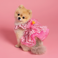 Pink Wedding Dress 핑크 웨딩 드레스