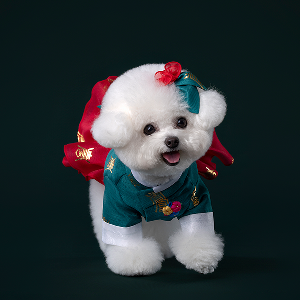 페오펫몰,Hanbok No.4 Female Style (Dress)