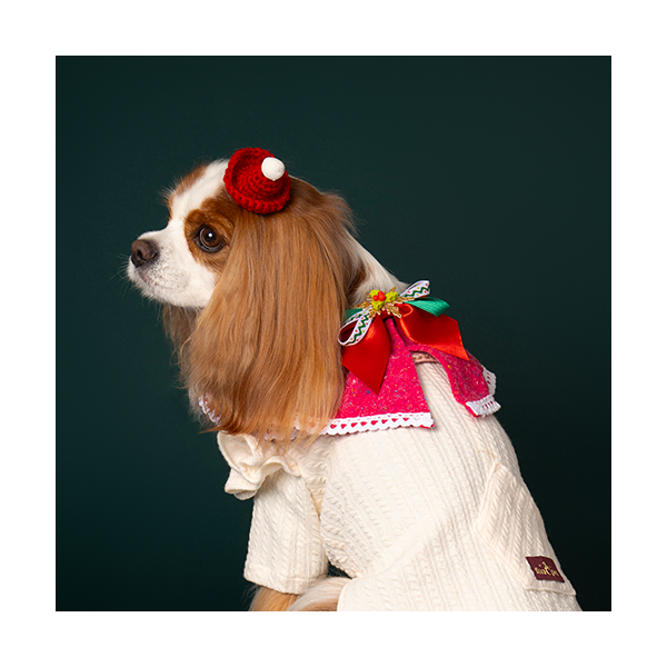 페오펫몰,Noel Cape Pink (노엘 케이프 핑크)