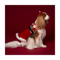 Santa Harness Dress 산타하네스 드레스