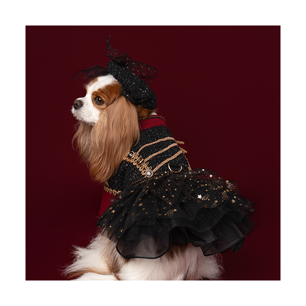 New Cavalier Tweed Dress 뉴 카발리에 트위드 드레스