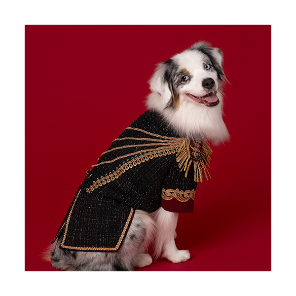 페오펫몰,New Cavalier Tweed 뉴 카발리에 트위드