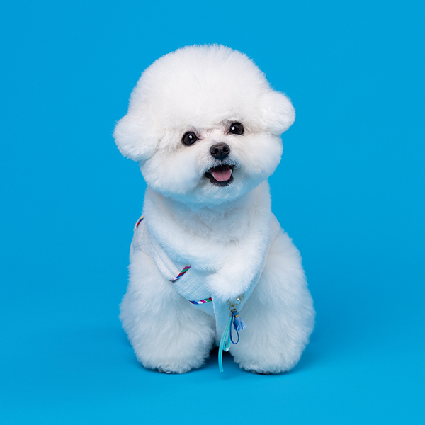 페오펫몰,Hanbok Baeja Male Style