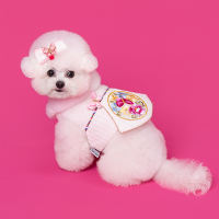 Hanbok Baeja Female Style