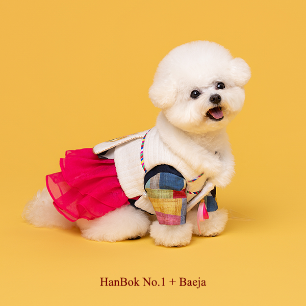 페오펫몰,Hanbok Baeja Female Style