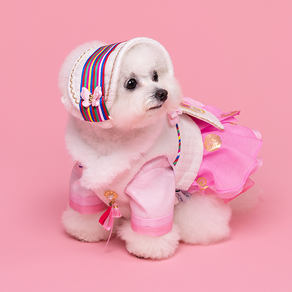 페오펫몰,Hanbok Head Acc. `Bolggi`