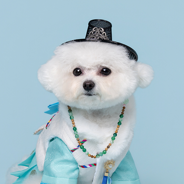 페오펫몰,Gat - Traditional Hat