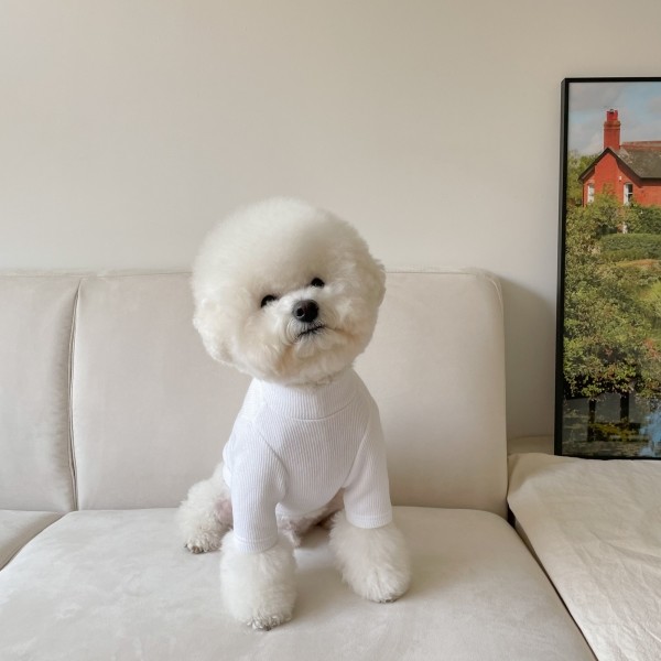 페오펫몰,강아지옷 라이크 반목 니트 봄옷 S-XL (3color)