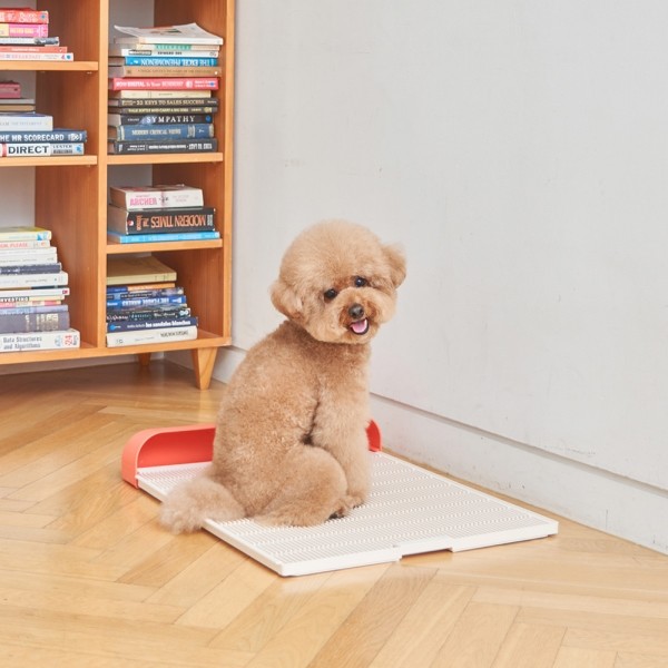 페오펫몰,[댕썸머특가] 모노모그 스윙배변판