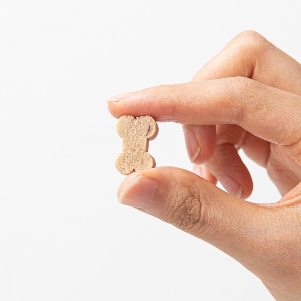 페오펫몰,[팻케어유니온] 강아지 관절 건강 영조인트