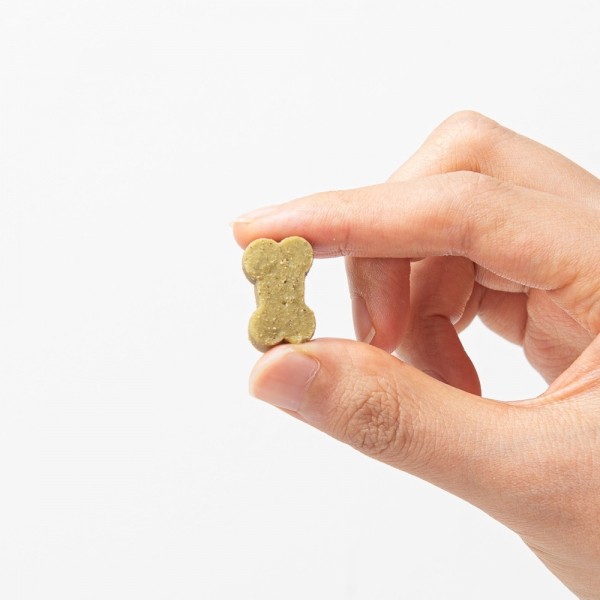 페오펫몰,[팻케어유니온] 강아지 심장 튼튼 영양제 스트롱하트