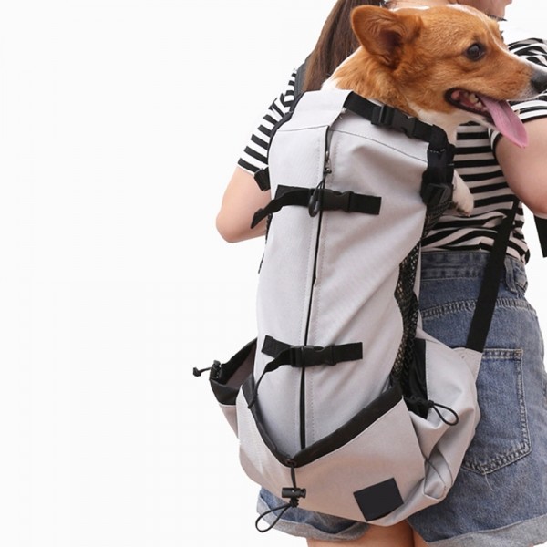 페오펫몰,개과천선 D 라이더 애견 배낭 백팩