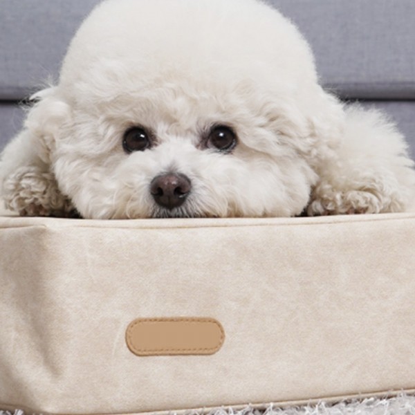 페오펫몰,개과천선 투웨이 마블 펫스텝 강아지 계단