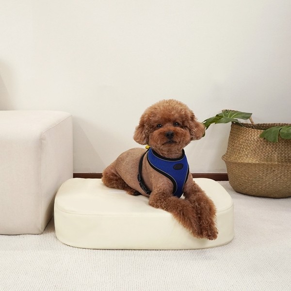 페오펫몰,개과천선 레더 방수 강아지 계단