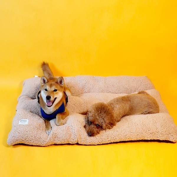 페오펫몰,개과천선 르뽀렘 강아지 사각 쿠션 브라운