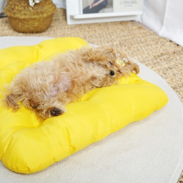 페오펫몰,개과천선 로우 강아지 방석 옐로우