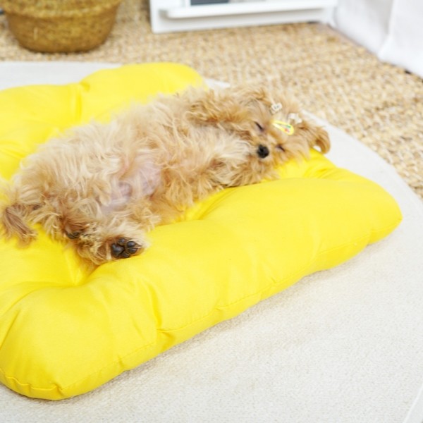 페오펫몰,개과천선 로우 강아지 방석 옐로우