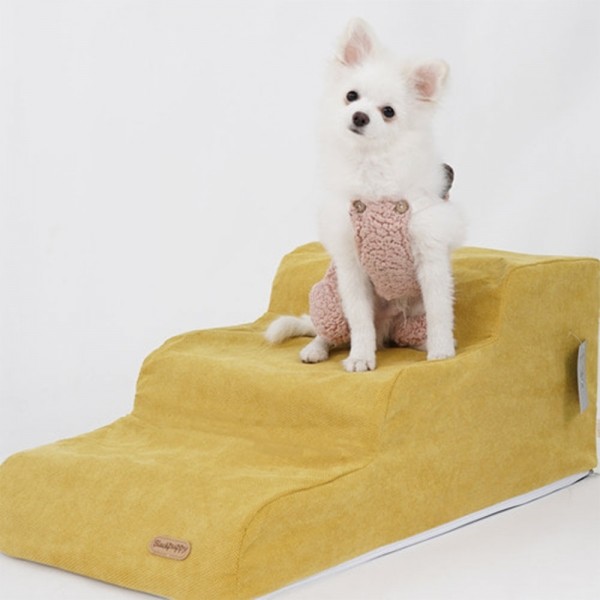 페오펫몰,개과천선 페인터 강아지 펫스텝