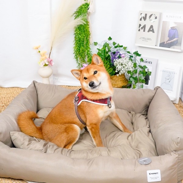 페오펫몰,개과천선 유크 강아지 사각 방석