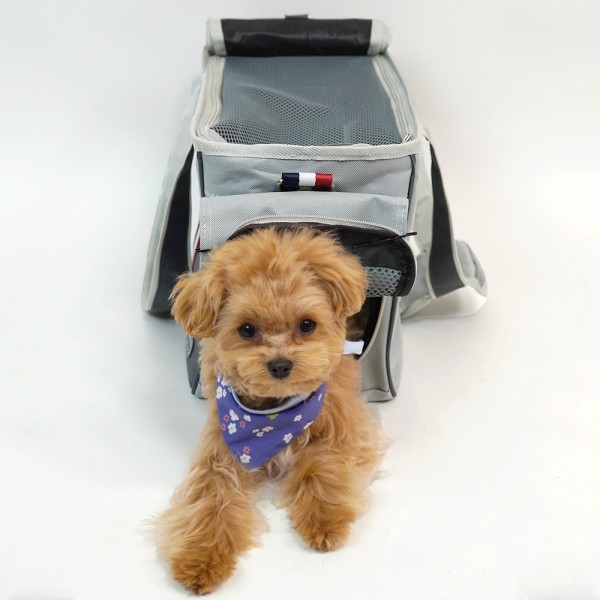 페오펫몰,개과천선 빈츠 강아지 이동가방