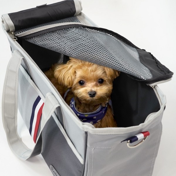 페오펫몰,개과천선 빈츠 강아지 이동가방