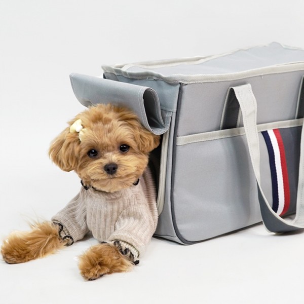페오펫몰,개과천선 빈츠 강아지 이동가방