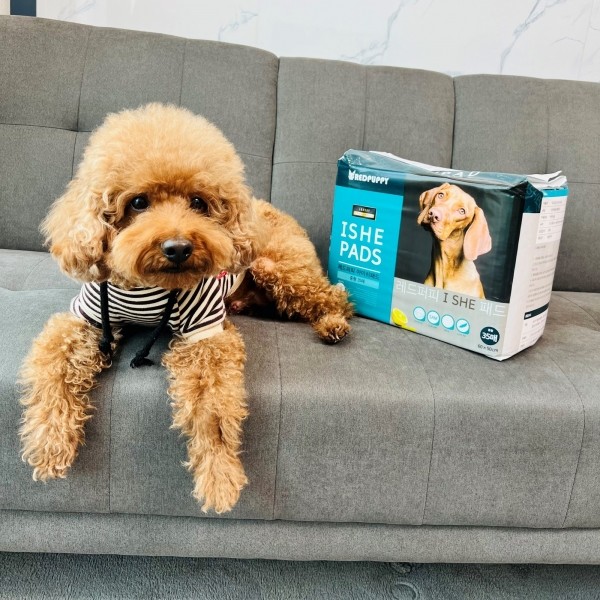 페오펫몰,개과천선 강아지 배변 패드 중형 대형 200매 엠보싱
