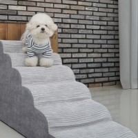 개과천선 버디 펫스텝 강아지 계단 그레이