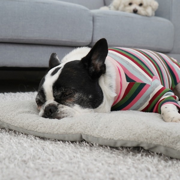 페오펫몰,개과천선 퍼실 강아지 방석