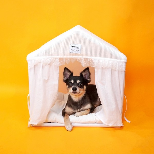 페오펫몰,개과천선 프린세스 강아지 하우스