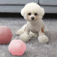 개과천선 와글 강아지 봉제공 색상랜덤 2P