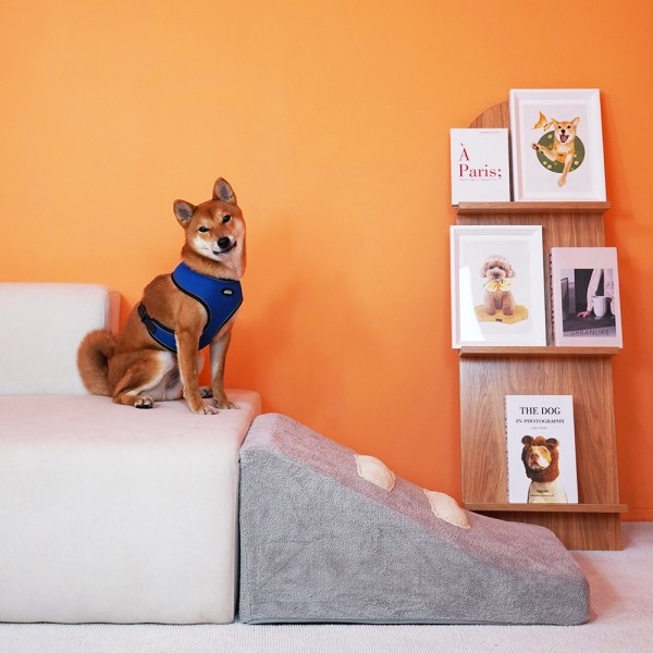 페오펫몰,개과천선 티프펫 강아지 슬라이드 계단