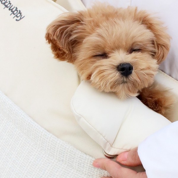 페오펫몰,개과천선 오트 강아지 슬링백