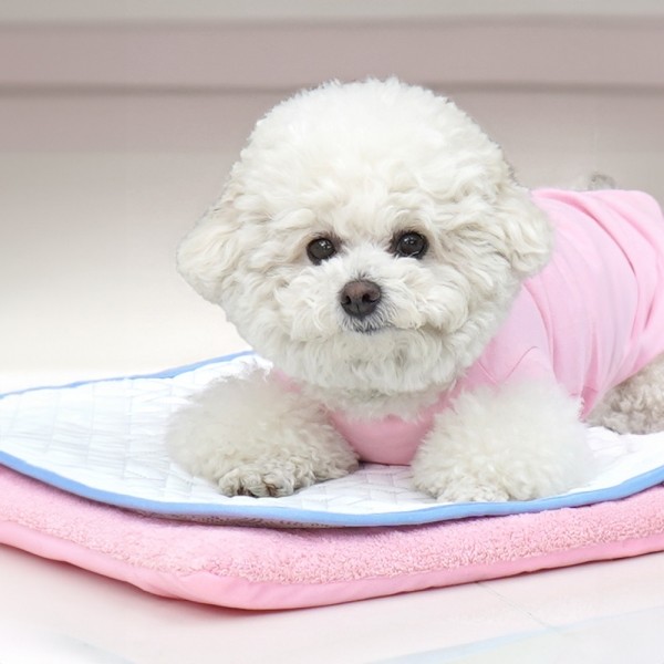 페오펫몰,개과천선 듀라론 쿨링 강아지 매트