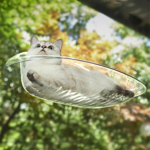 페오펫몰,개과천선 버블 캣 해먹 고양이 침대