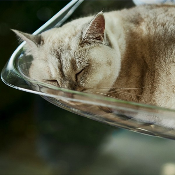 페오펫몰,개과천선 버블 캣 해먹 고양이 침대