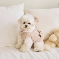 개과천선 베어티 극세사 강아지 조끼