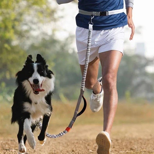 페오펫몰,개과천선 트롱 강아지 2견용 핸즈프리 리드줄 세트 블랙 그레이