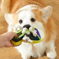 개과천선 터즈 강아지 삑삑이 장난감
