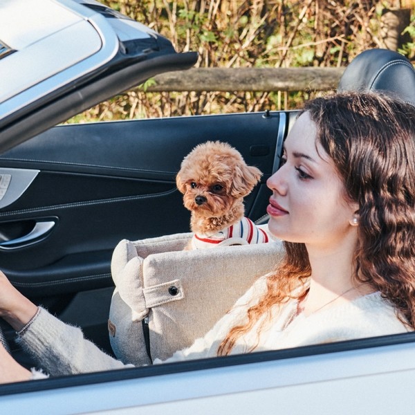 페오펫몰,개과천선 루니 강아지 콘솔 카시트 (콘솔백 별도 판매)