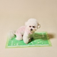 개과천선 클라워 강아지 배변 패드